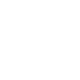 icon software development